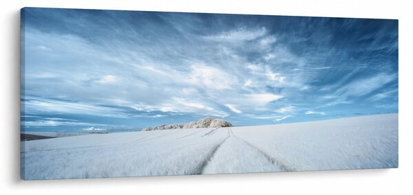 Slika polja (120x50 cm)