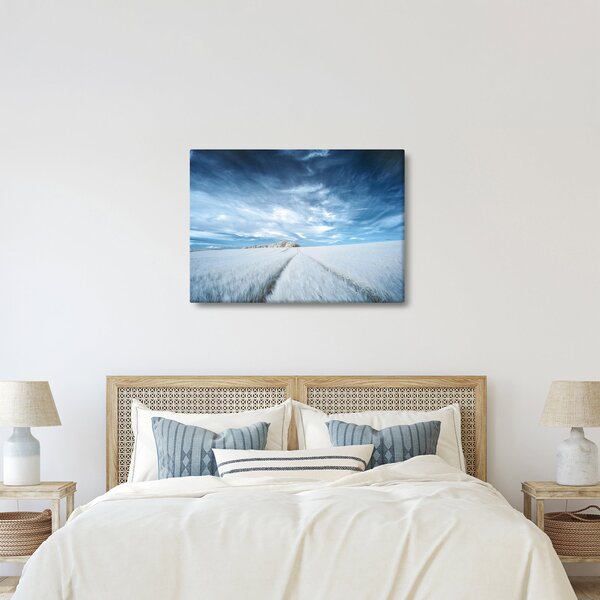 Slika polja (70x50 cm)