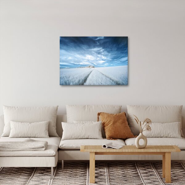 Slika polja (70x50 cm)