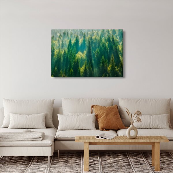 Slika - Borov gozd (90x60 cm)