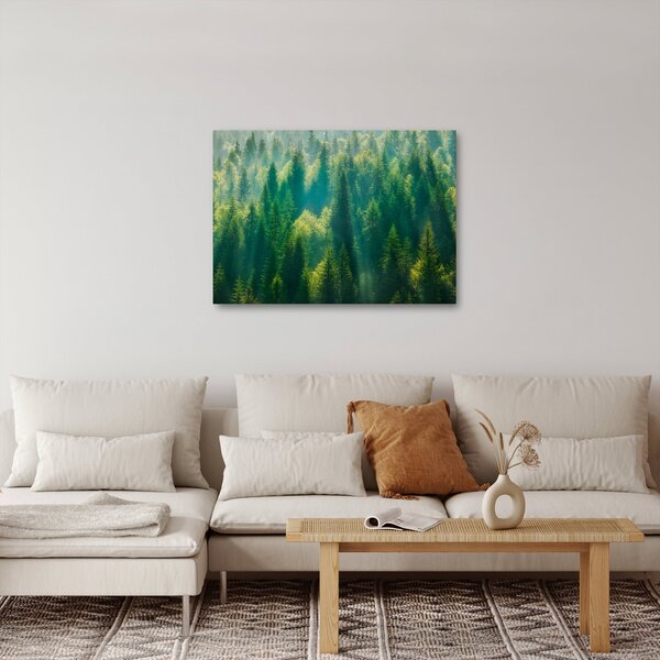Slika - Borov gozd (70x50 cm)
