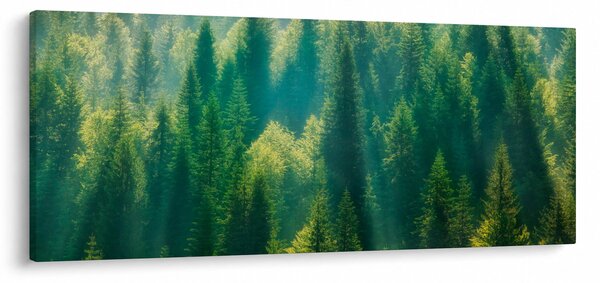 Slika - Borov gozd (120x50 cm)