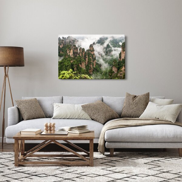 Slika - Nacionalni park Zhangjiajie, Kitajska (90x60 cm)