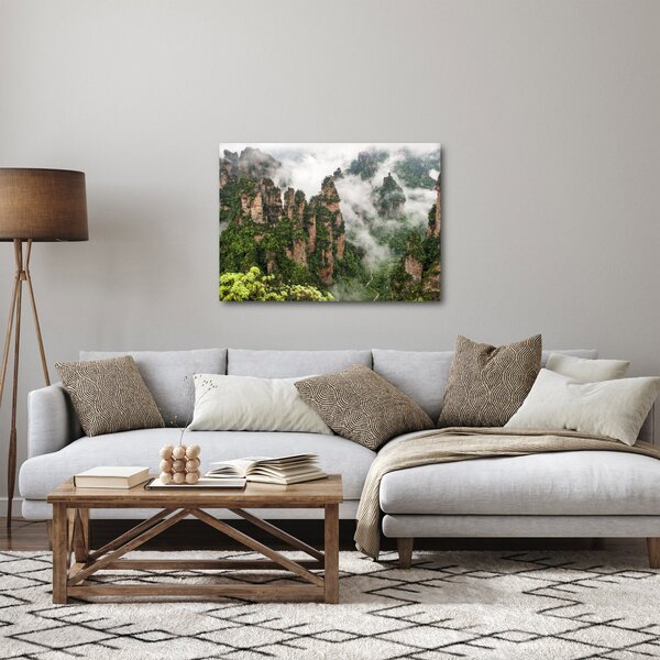 Slika - Nacionalni park Zhangjiajie, Kitajska (70x50 cm)