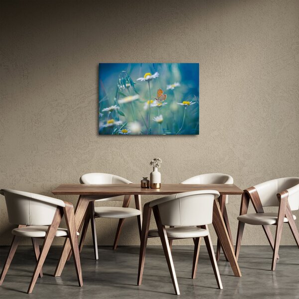 Slika - Metulj na marjetici (70x50 cm)