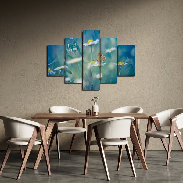 Slika - Metulj na marjetici (150x105 cm)