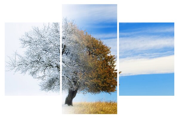 Slika - Sprememba sezone (90x60 cm)