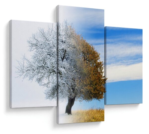 Slika - Sprememba sezone (90x60 cm)