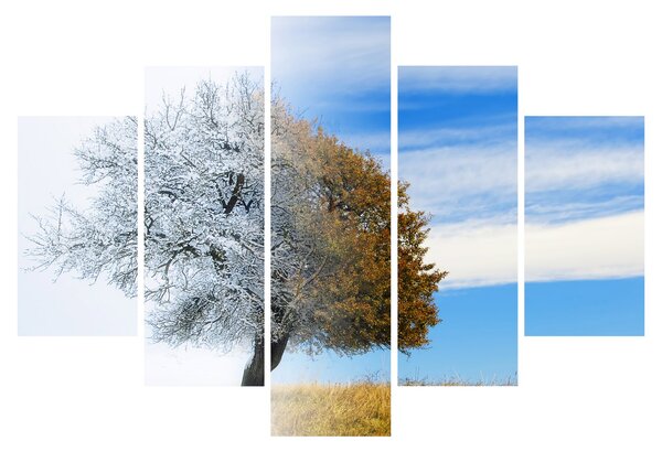 Slika - Sprememba sezone (150x105 cm)