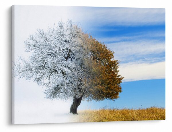 Slika - Sprememba sezone (70x50 cm)