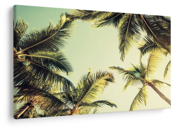 Slika s kokosovimi palmami (90x60 cm)
