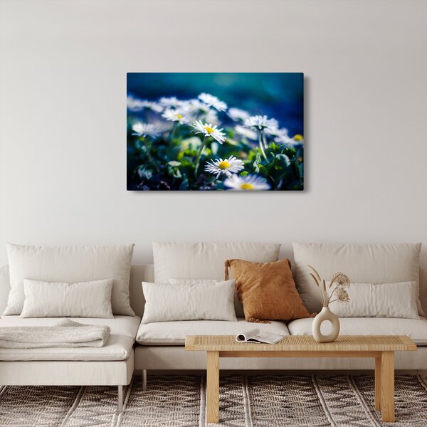 Slika marjetic (90x60 cm)