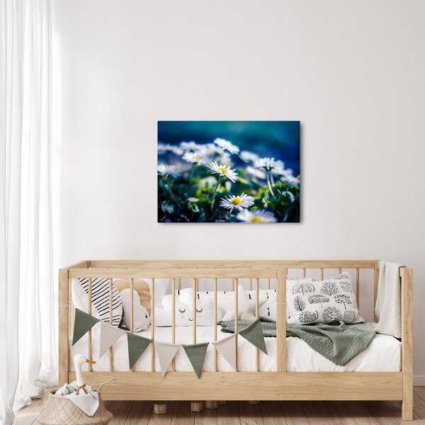 Slika marjetic (70x50 cm)