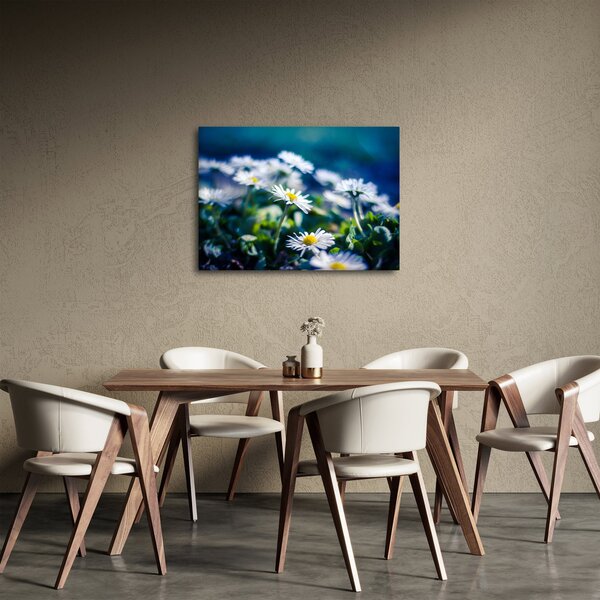 Slika marjetic (70x50 cm)