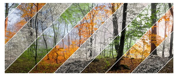 Slika - Menjava letnih časov (120x50 cm)