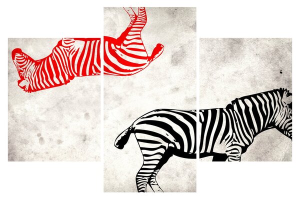 Slika - Zebre (90x60 cm)