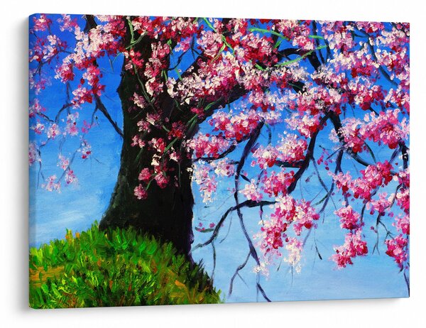 Podoba naslikanega češnjevega cveta (70x50 cm)