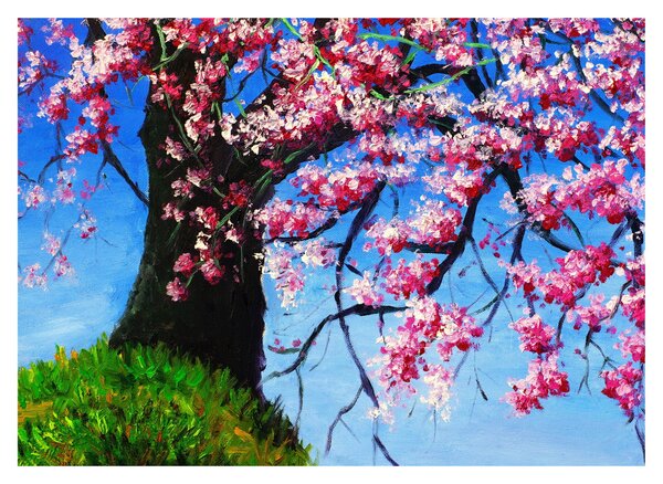 Podoba naslikanega češnjevega cveta (70x50 cm)