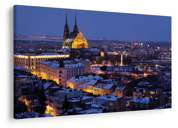 Slika - Katedrala sv. Petra in Pavla, Brno, Češka (90x60 cm)