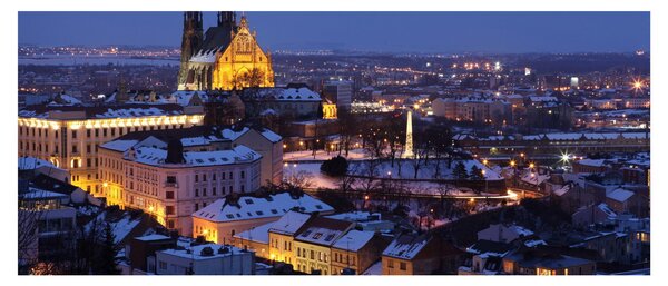 Slika - Katedrala sv. Petra in Pavla, Brno, Češka (120x50 cm)