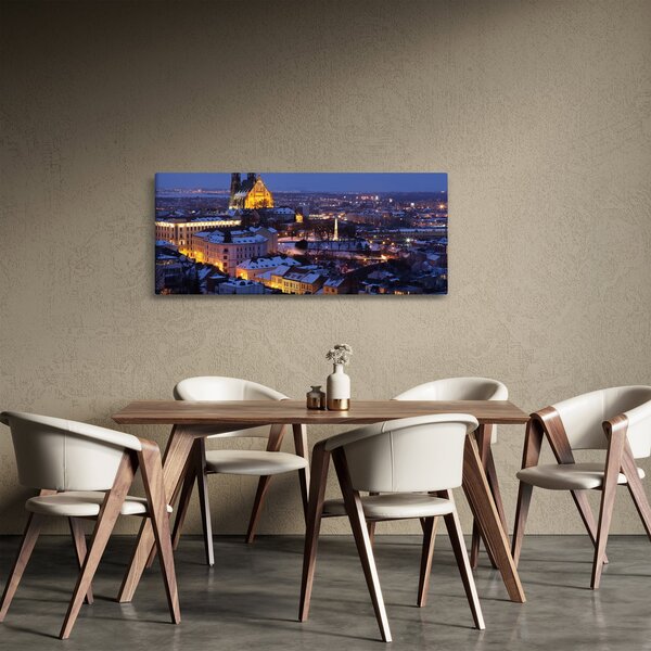 Slika - Katedrala sv. Petra in Pavla, Brno, Češka (120x50 cm)