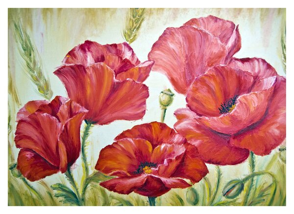 Slika - Cvetovi maka (70x50 cm)