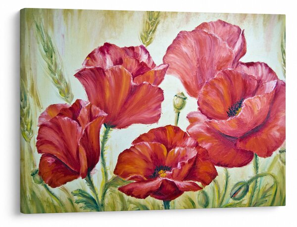 Slika - Cvetovi maka (70x50 cm)