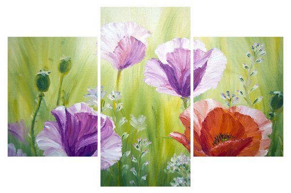 Slika - Makovi (90x60 cm)