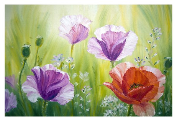 Slika - Makovi (90x60 cm)