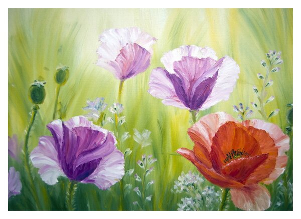 Slika - Makovi (70x50 cm)