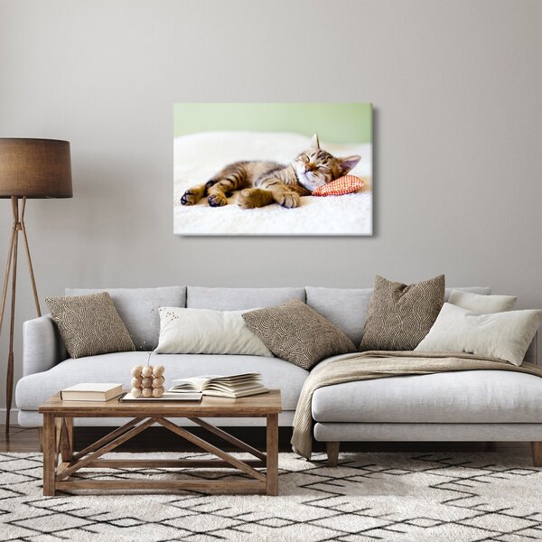 Slika - Speči maček (90x60 cm)