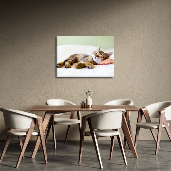 Slika - Speči maček (70x50 cm)
