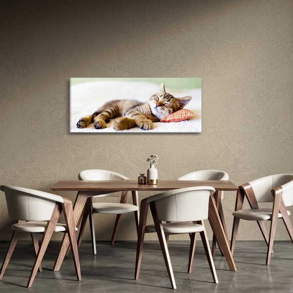 Slika - Speči maček (120x50 cm)