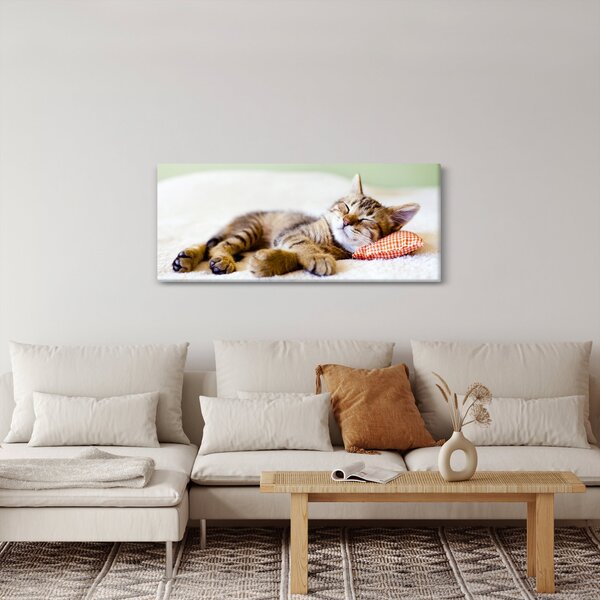 Slika - Speči maček (120x50 cm)
