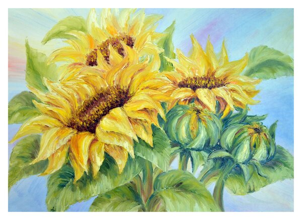 Slika cvetočih sončnic (70x50 cm)