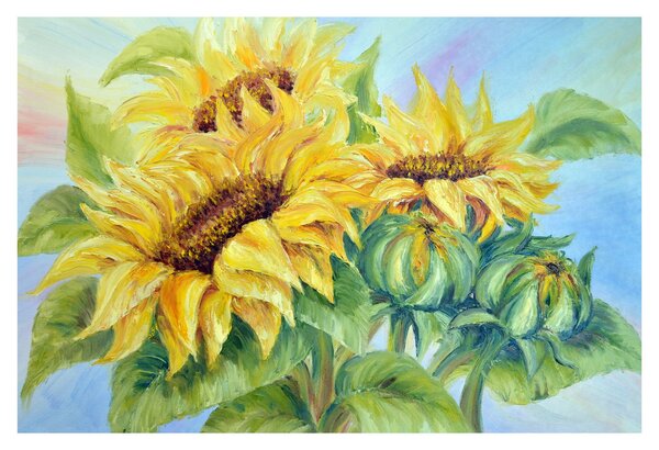 Slika cvetočih sončnic (90x60 cm)