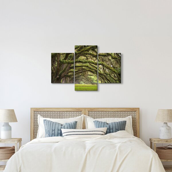 Slika - Oaks Avenue, Charleston, Južna Karolina, ZDA (90x60 cm)