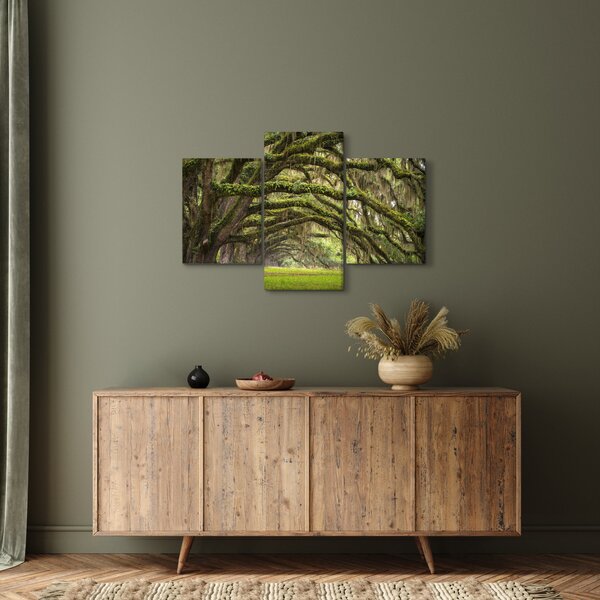 Slika - Oaks Avenue, Charleston, Južna Karolina, ZDA (90x60 cm)