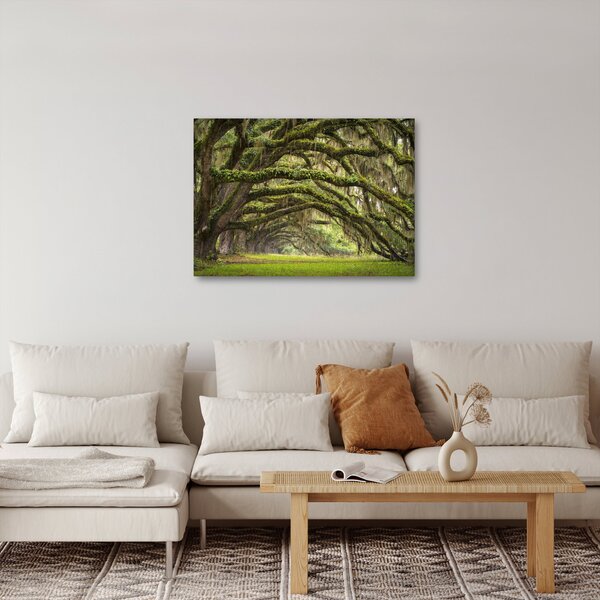 Slika - Oaks Avenue, Charleston, Južna Karolina, ZDA (70x50 cm)