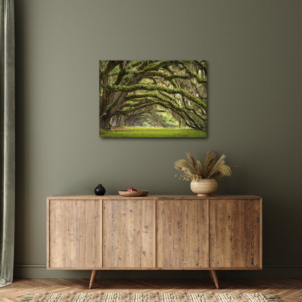 Slika - Oaks Avenue, Charleston, Južna Karolina, ZDA (70x50 cm)