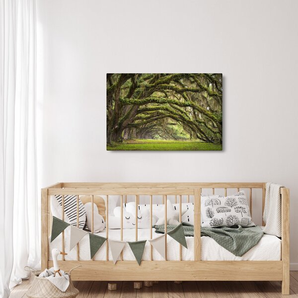 Slika - Oaks Avenue, Charleston, Južna Karolina, ZDA (90x60 cm)