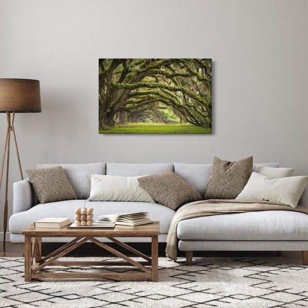 Slika - Oaks Avenue, Charleston, Južna Karolina, ZDA (90x60 cm)