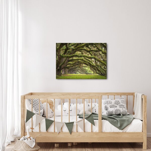 Slika - Oaks Avenue, Charleston, Južna Karolina, ZDA (70x50 cm)
