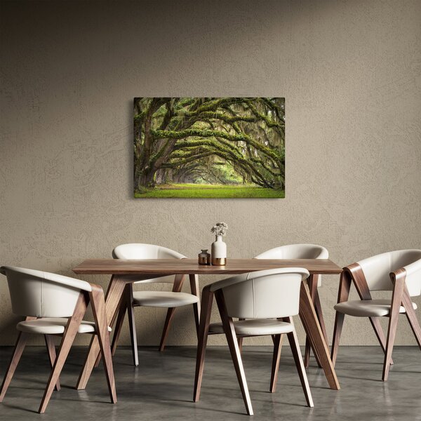 Slika - Oaks Avenue, Charleston, Južna Karolina, ZDA (90x60 cm)