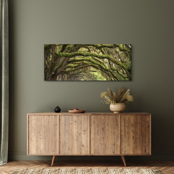 Slika - Oaks Avenue, Charleston, Južna Karolina, ZDA (120x50 cm)