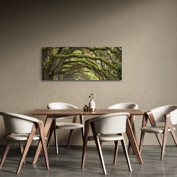 Slika - Oaks Avenue, Charleston, Južna Karolina, ZDA (120x50 cm)