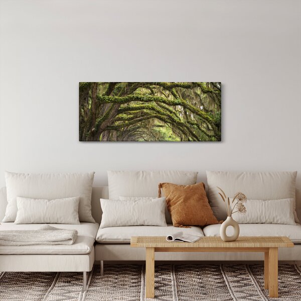 Slika - Oaks Avenue, Charleston, Južna Karolina, ZDA (120x50 cm)