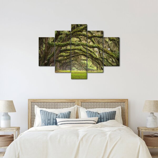 Slika - Oaks Avenue, Charleston, Južna Karolina, ZDA (150x105 cm)
