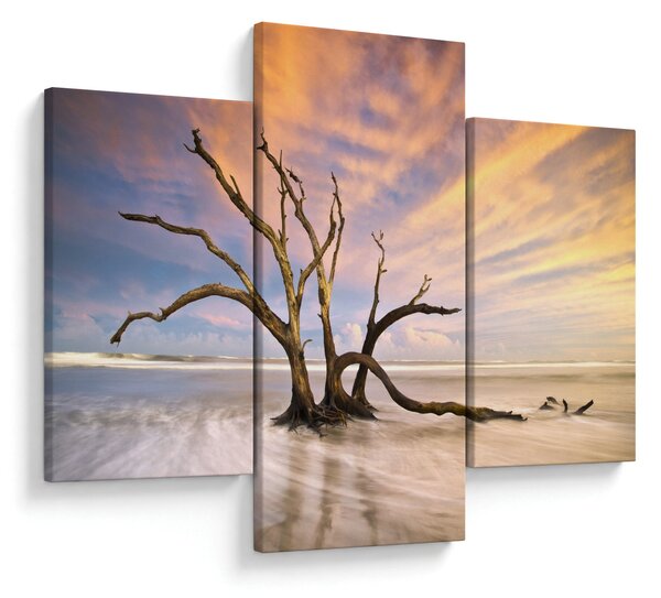 Slika drevesa v oceanu (90x60 cm)