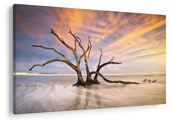 Slika drevesa v oceanu (90x60 cm)